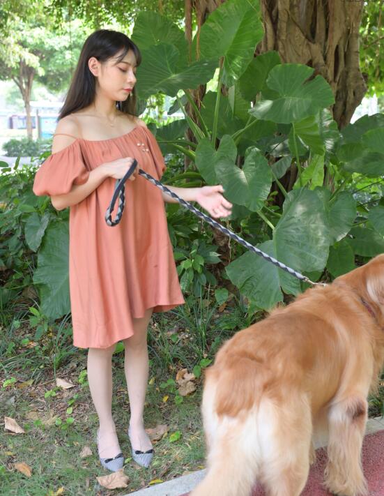 日韩电影免费在线观看中文字幕-电梯小姐动画 - 小鸡AV亚洲日韩中文字幕