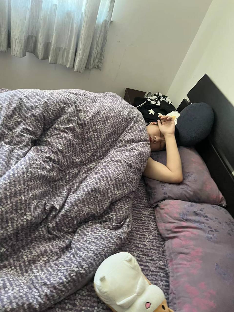 伊人网伊人影院-黄色大片久久 - 小鸡AV久草热视频