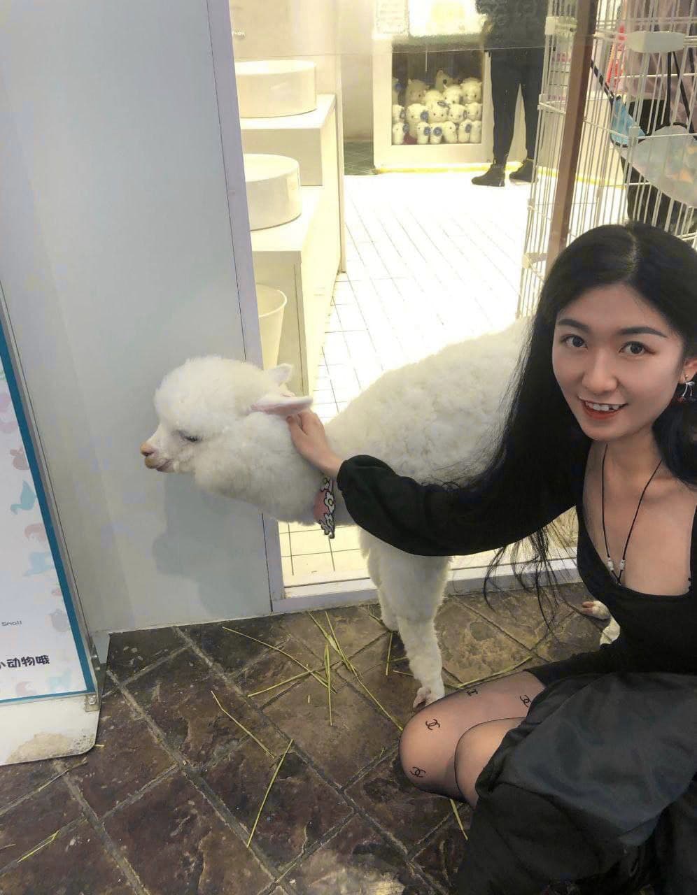 老师含紧一点h边做边走电影