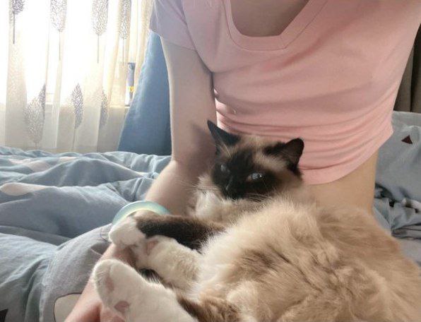 日本xxxx裸体xxxx