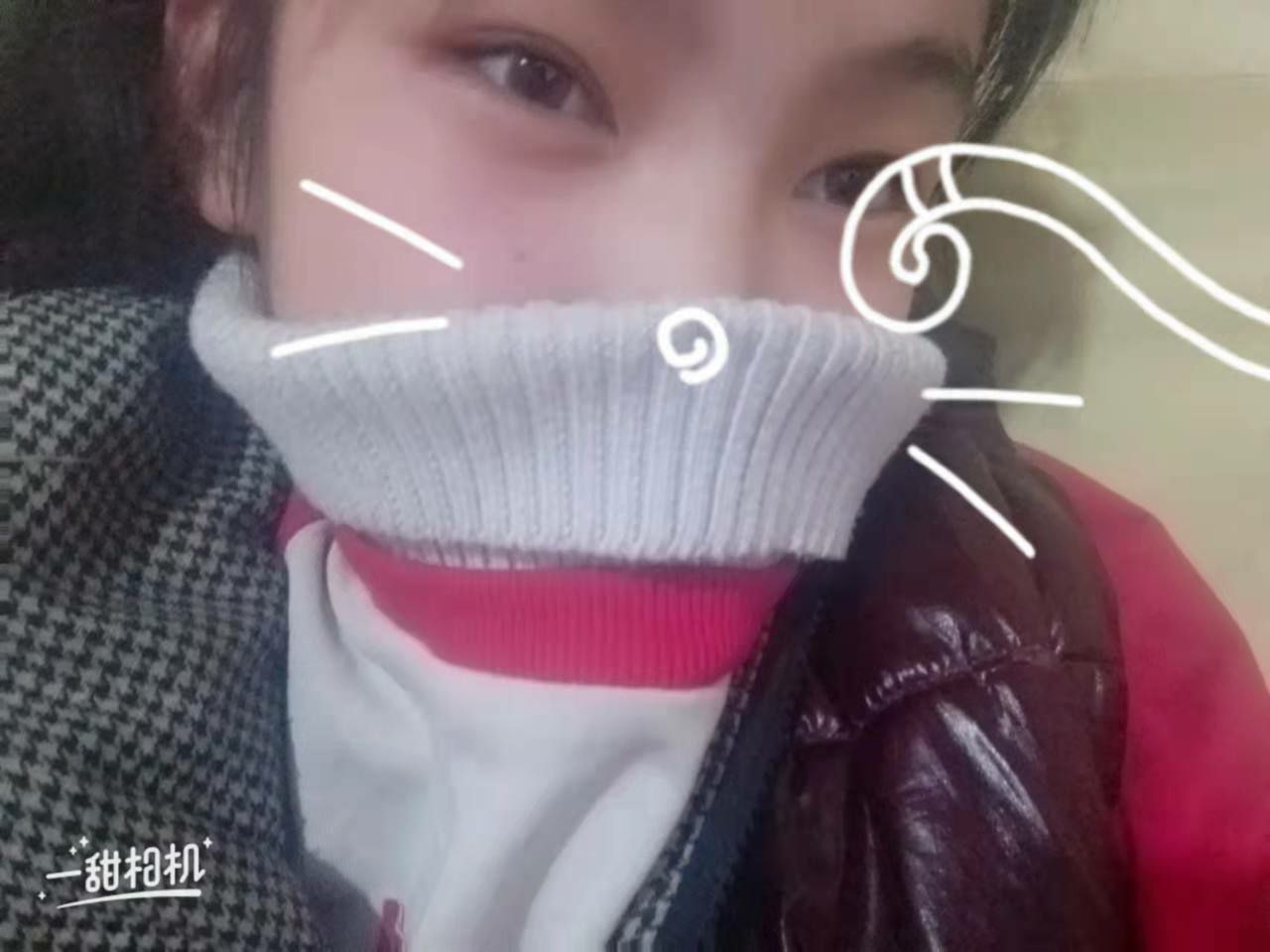 啄木鸟系列电影