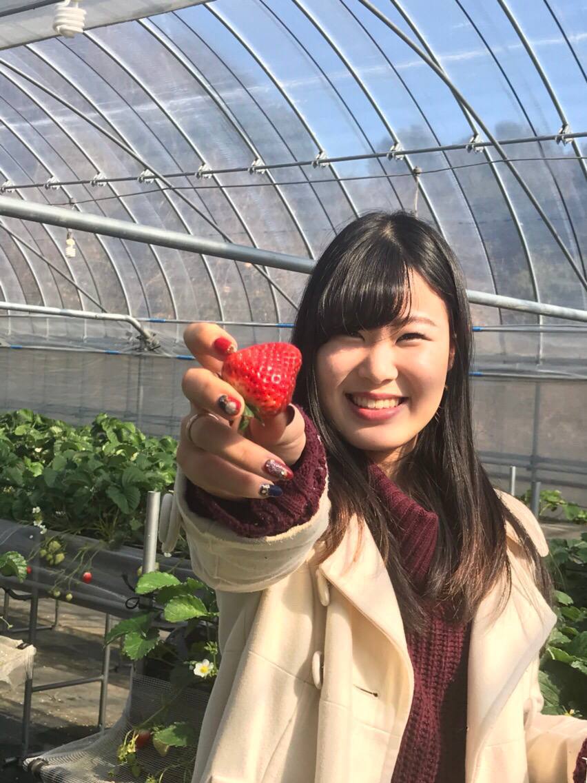 免费黄色一级大片