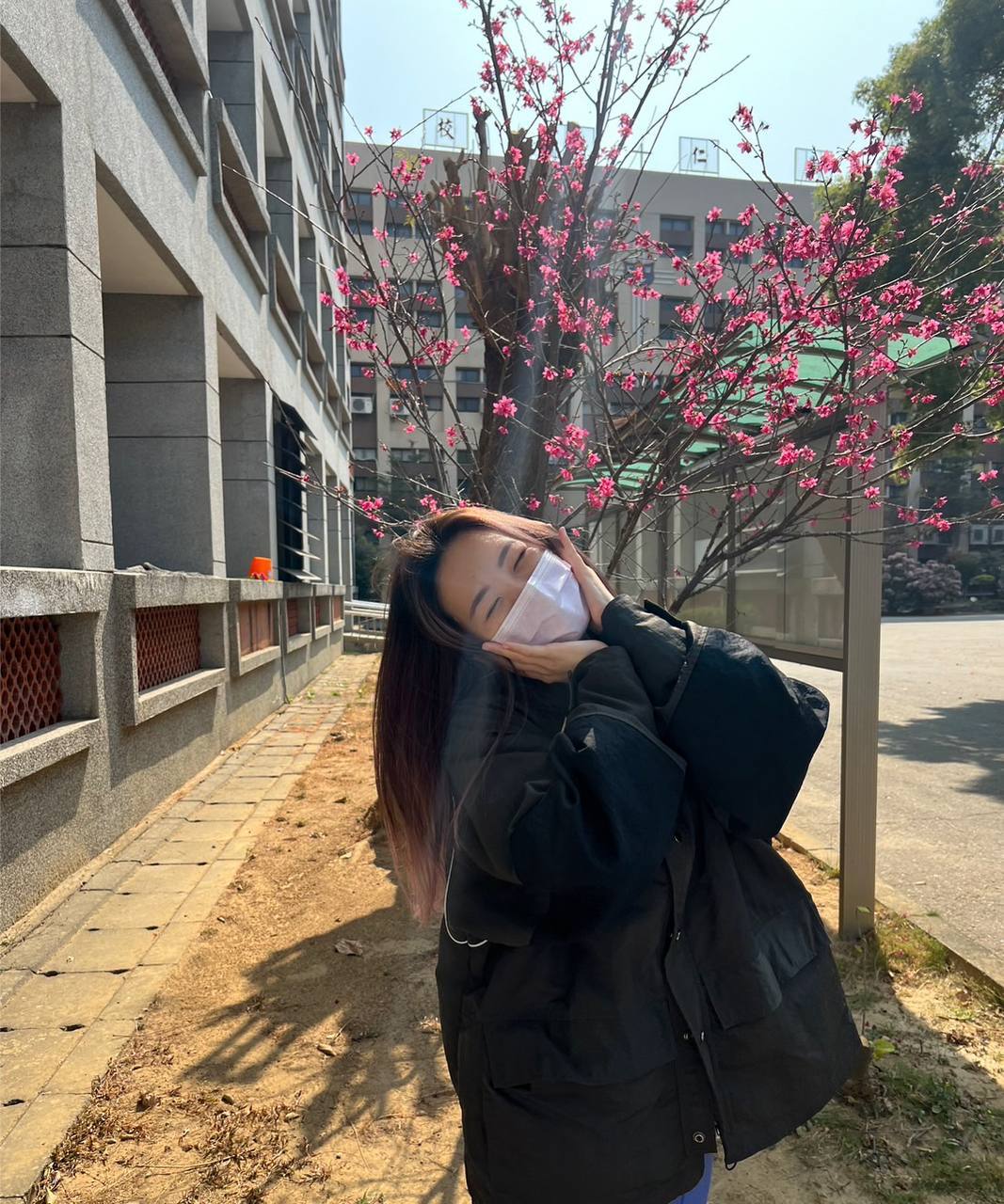 伊人网综合在线观看-在线一区免费视频播放 - 小鸡AV张悠雨欧美222人体