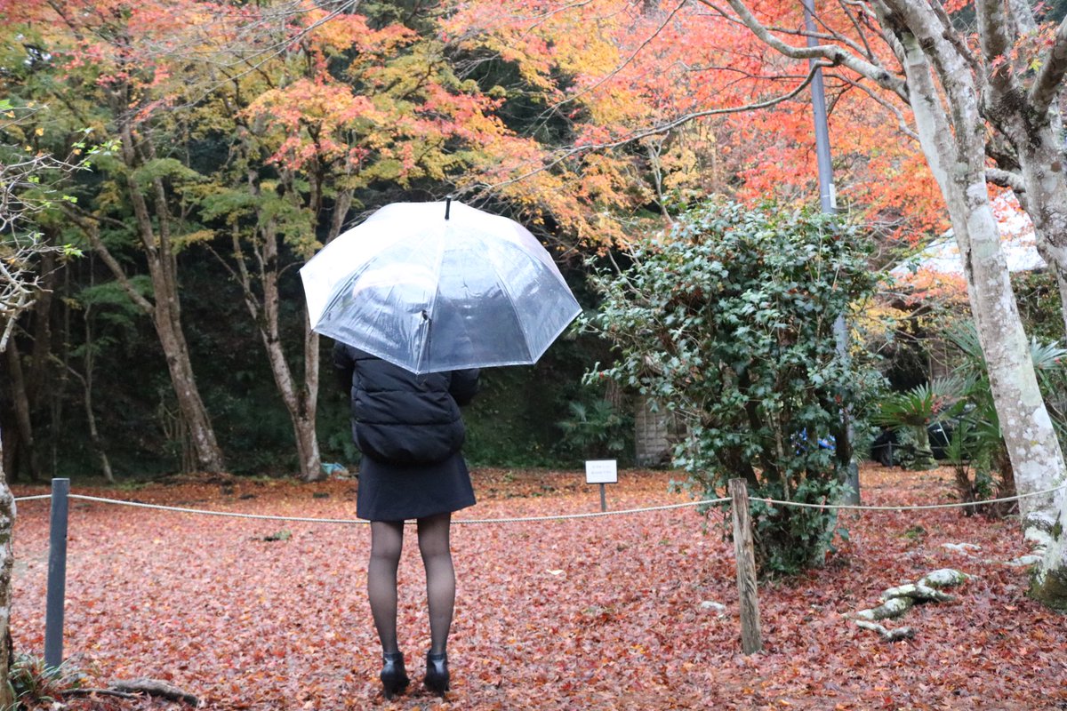 色吧在线观看-色黄啪啪网18以下勿入 - 小鸡AV埃及猫动画完整在线观看