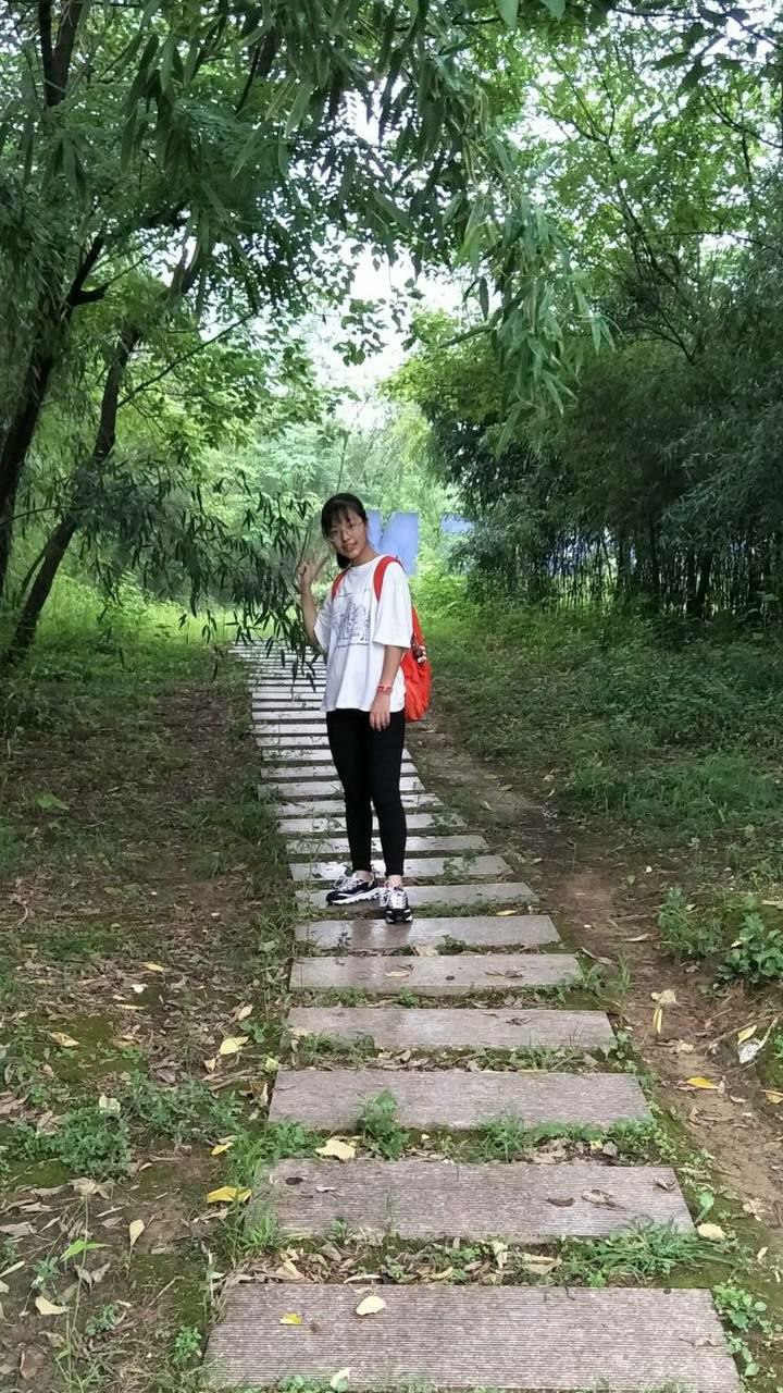 日本一区二区三区免费看