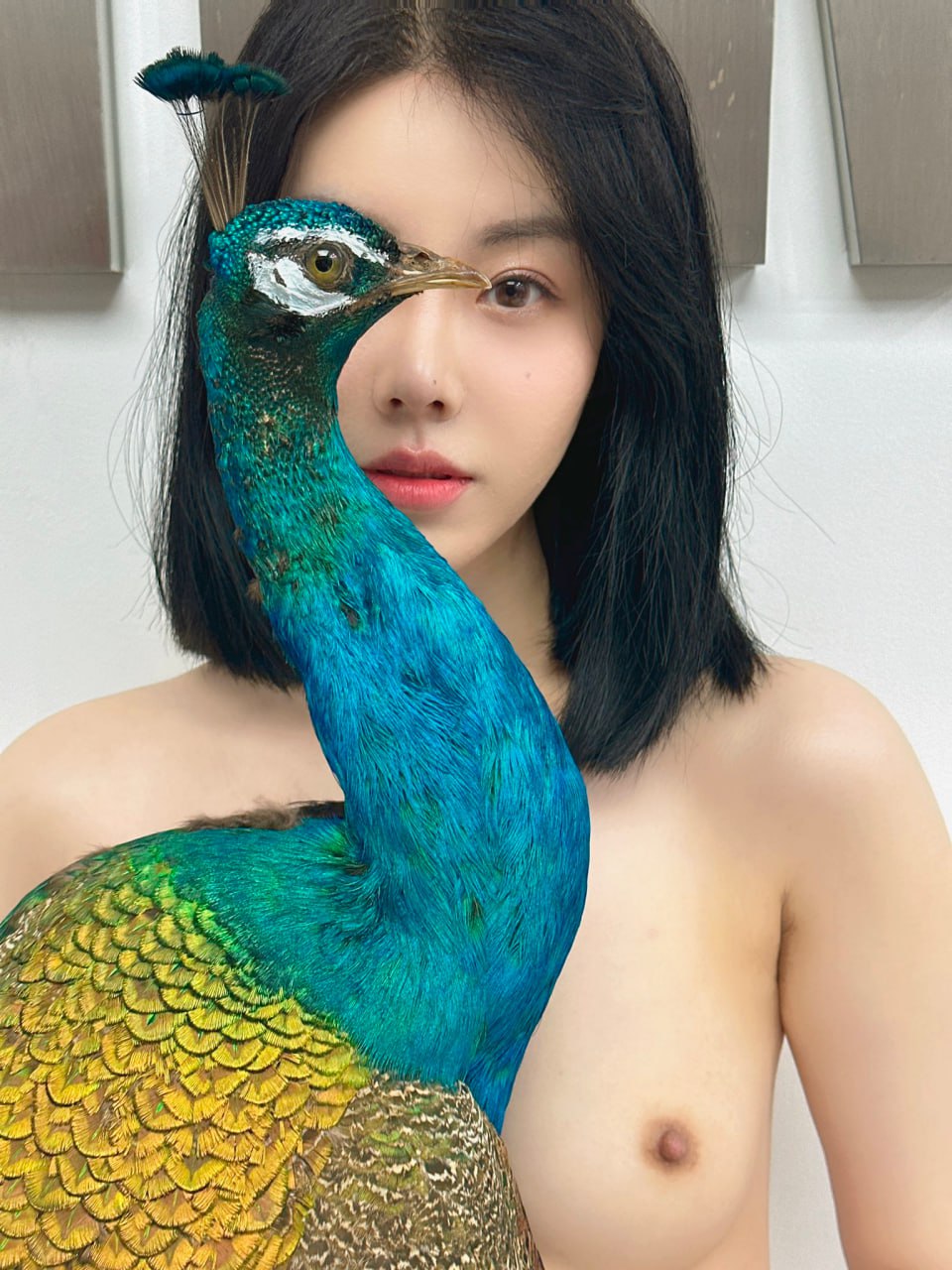 国产视频一二区-国产在线观看第一页 - 小鸡AV2020国产精品永久在线观看