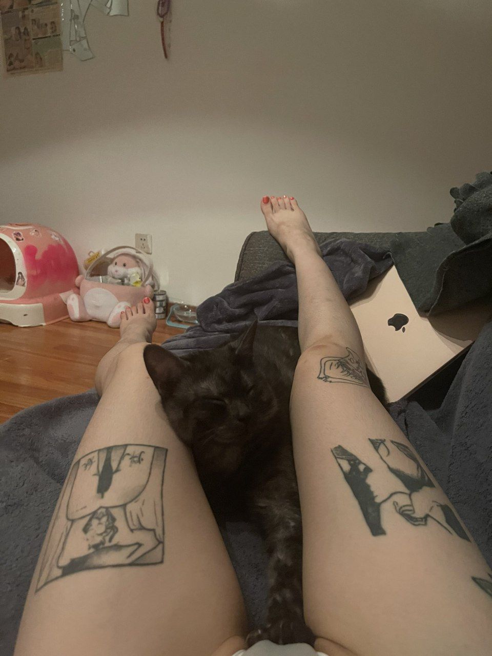 精品一区二区三区视频在线观看免