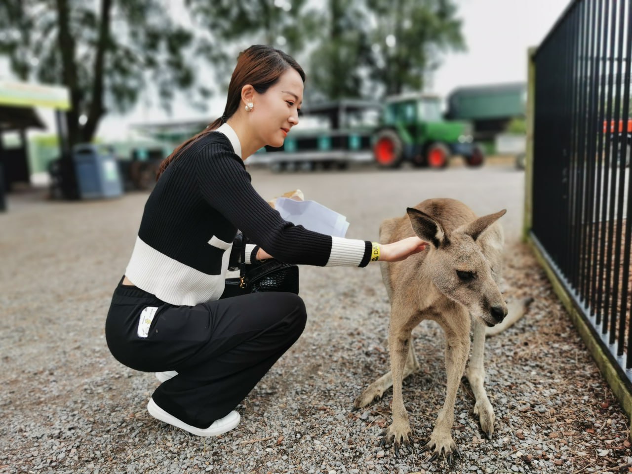 yy6080**毛片-久久久久综合一本久道 - 小鸡AV欧美日本中文字幕