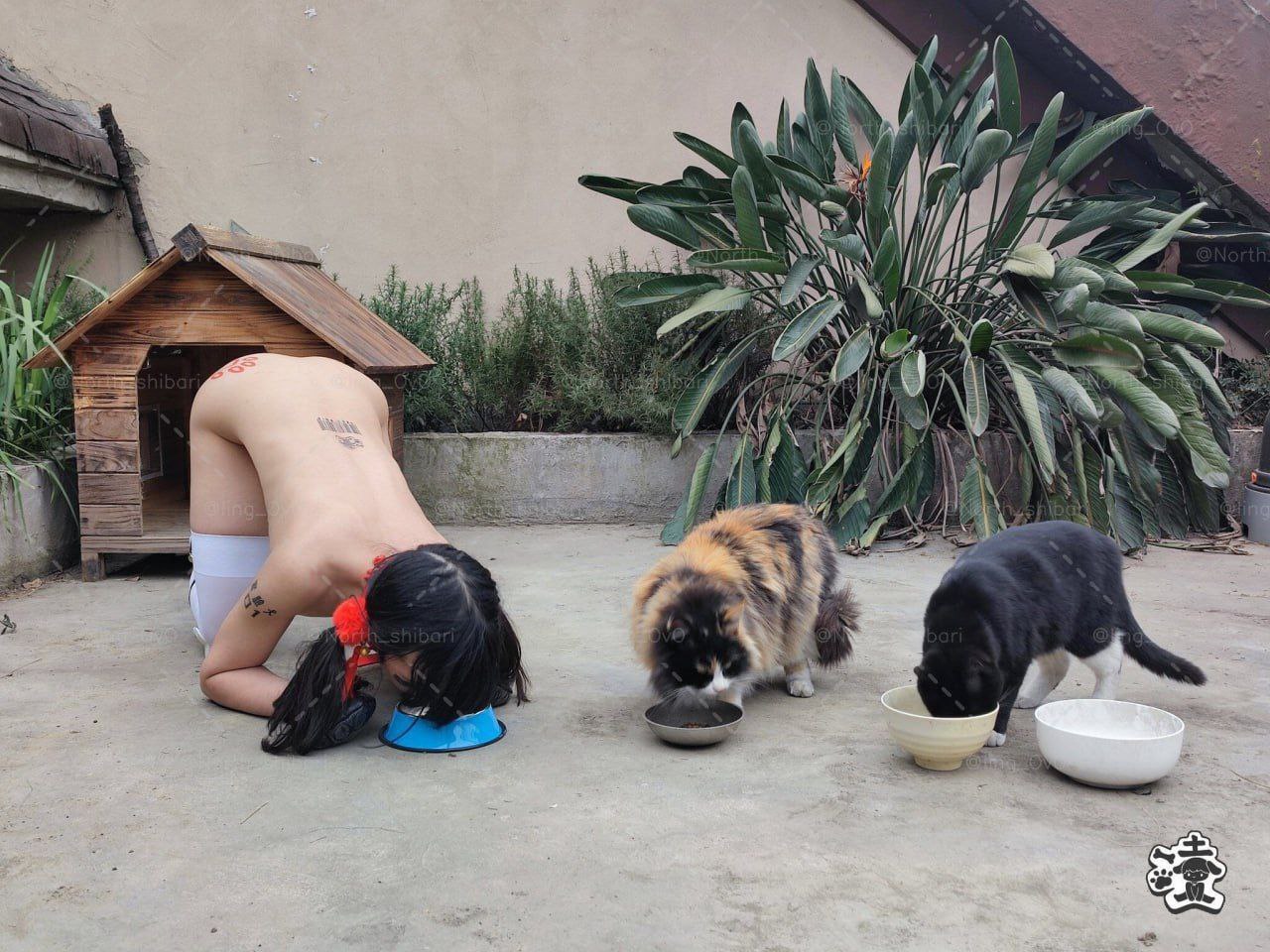 秋霞伦理手机在线看片-日韩插啊免费视频在线观看 - 小鸡AV国产色婷婷亚洲99精品小说