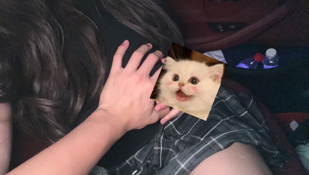 青青草成人影视-欧美日韩一区二区不卡三区 - 小鸡AV男人j桶进女人q无遮挡动态