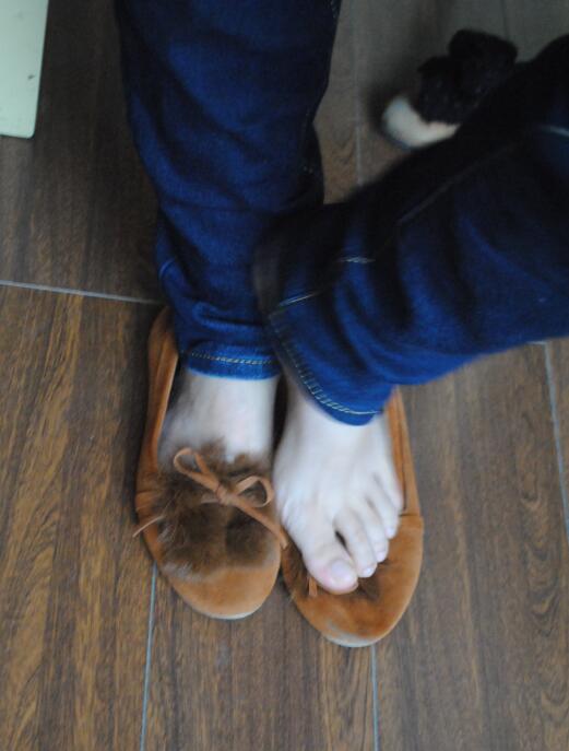 校园高H校草深一点H