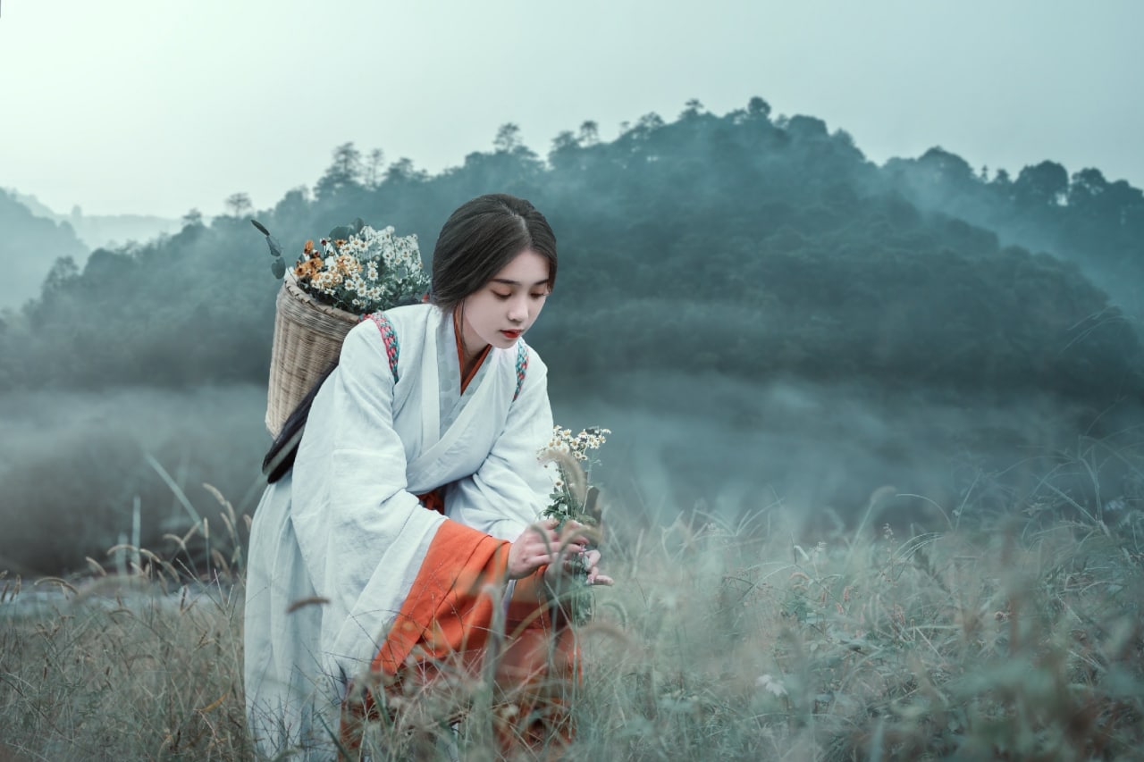 免费看羞羞视频网站