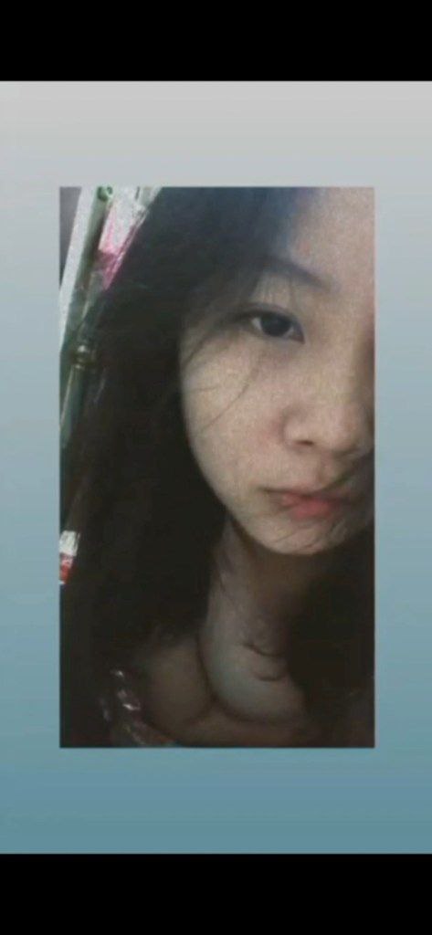 日本免费一二区在线电影