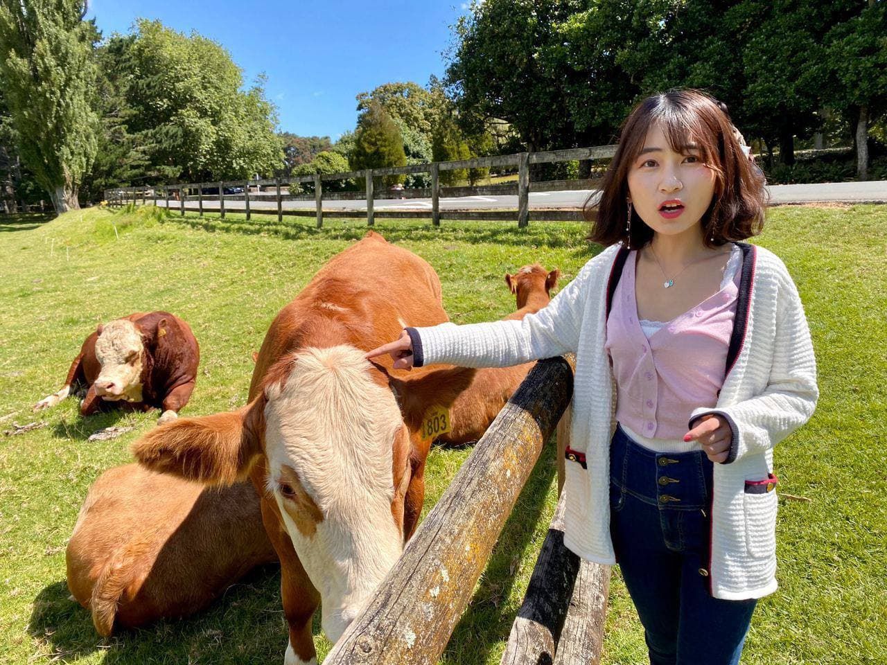 亚洲视频精品在线-亚洲人成网站在线观看青青 - 小鸡AV国产精品一区二区在线观看完整版