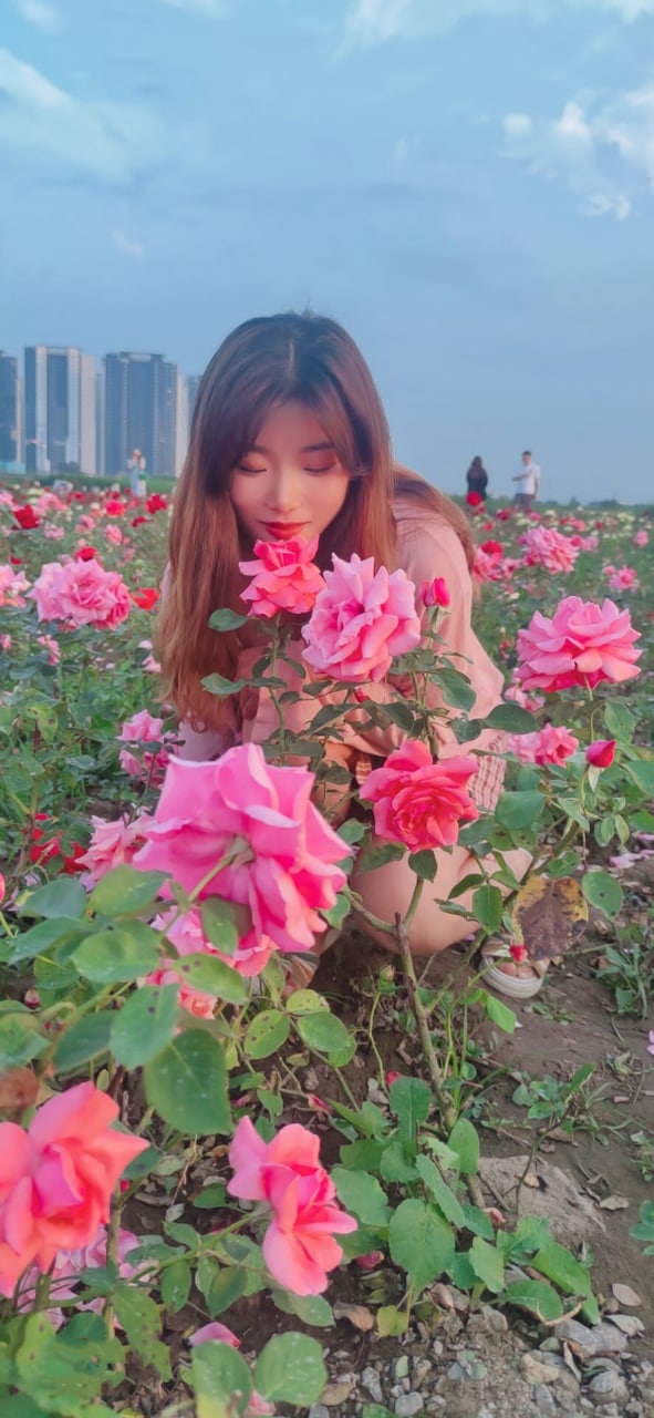 日本午夜网站-国产精品视频久久久久 - 小鸡AV污污小视频在线观看