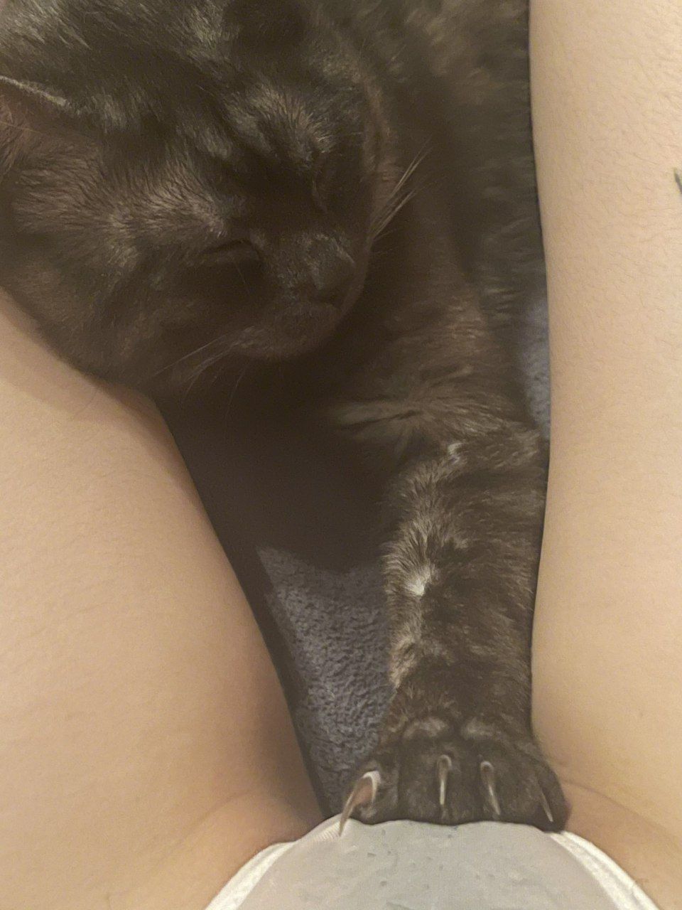 爽好舒服快深点网站-特级a欧美做爰片毛片 - 小鸡AV亚洲精品久久99久久一区