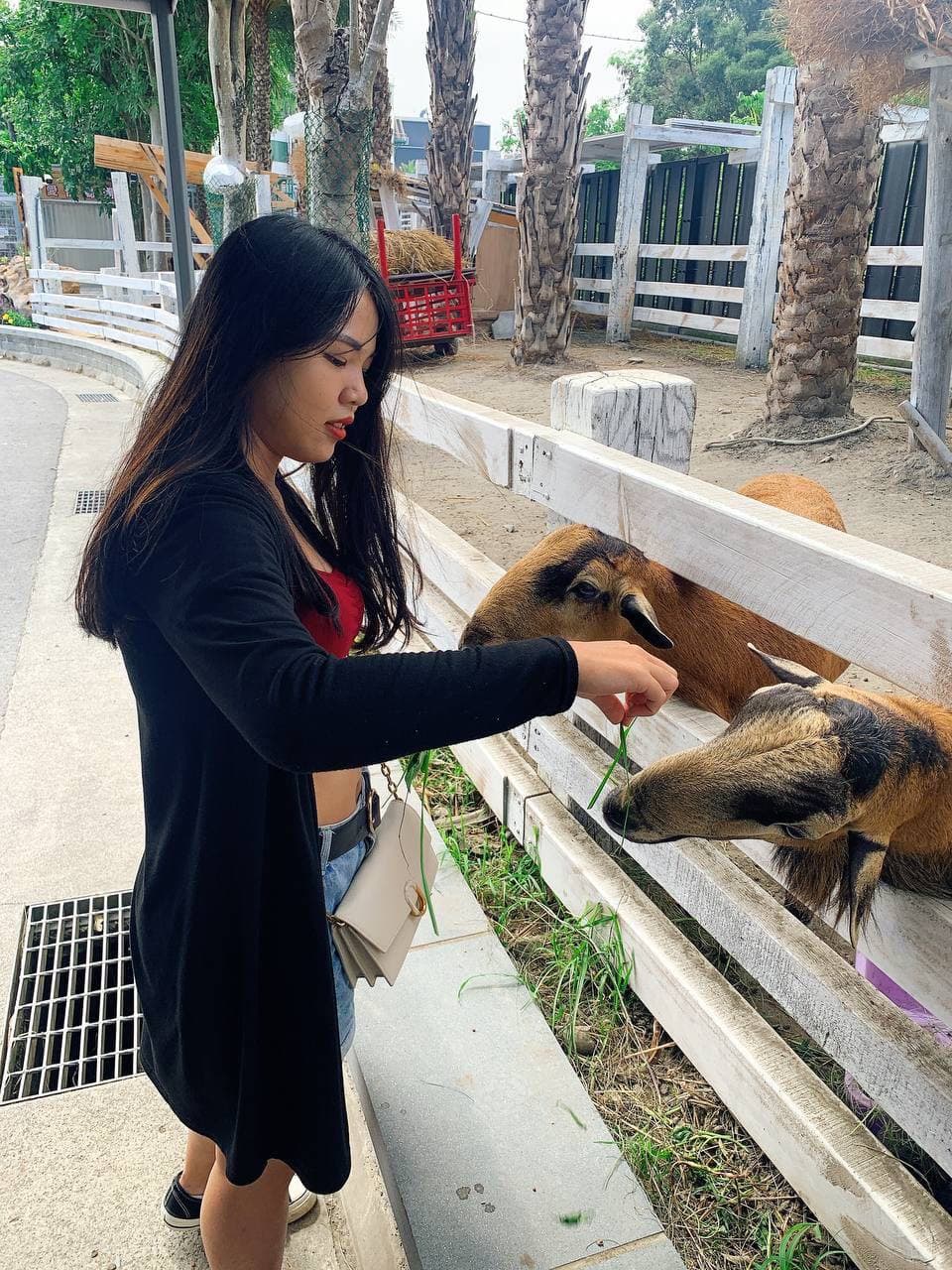 国产精品永久免费-伊人成综合 - 小鸡AV一区二区在线视频观看