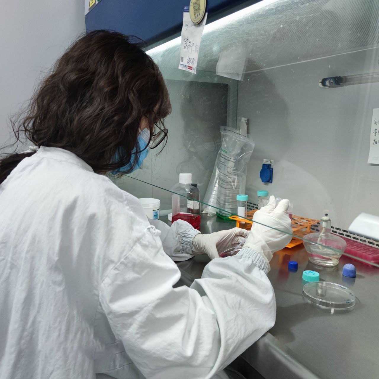 视频在线观看一区二区-在线播放精品一区二区啪视频 - 小鸡AV欧美日韩成人午夜免费