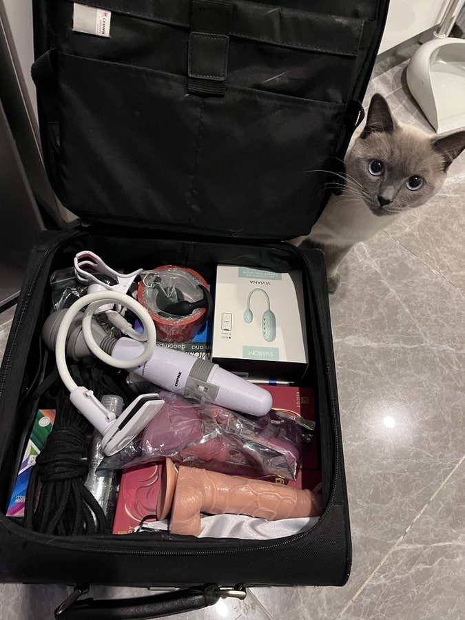 一级毛片完整版-久久中文字幕一区二区 - 小鸡AVnp肉辣文一女多男