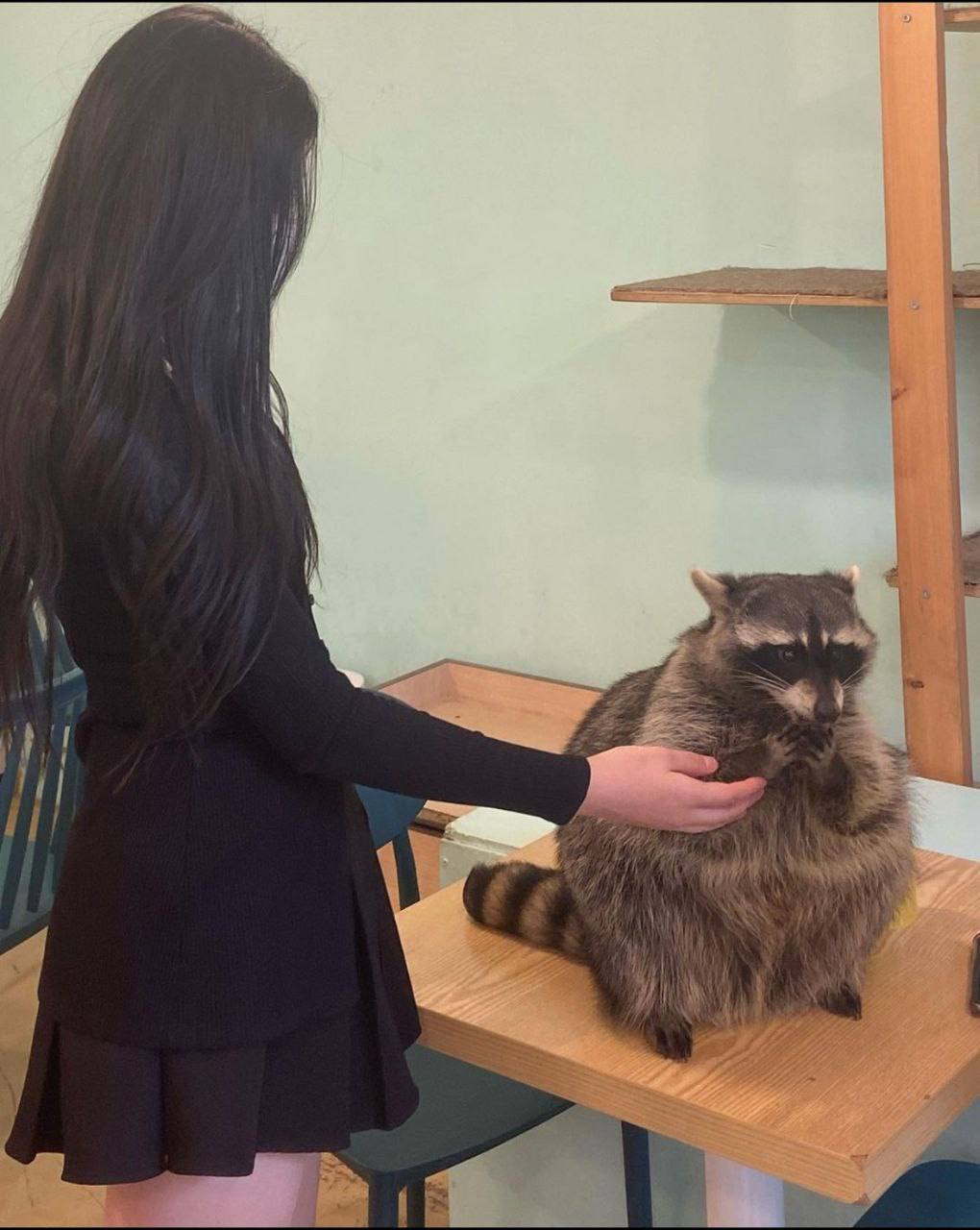 被男人添B超爽视频免费-国产人妻人伦精品836700 - 小鸡AV日欧一片内射VA在线影院