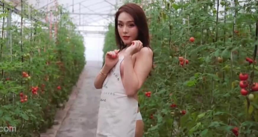 污污污WWW精品国产网站-曰韩少妇内射免费播放 - 小鸡AV激情尺度国内