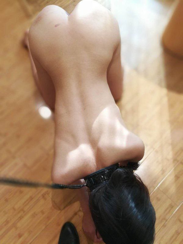 日本A级做爰午夜免费视频