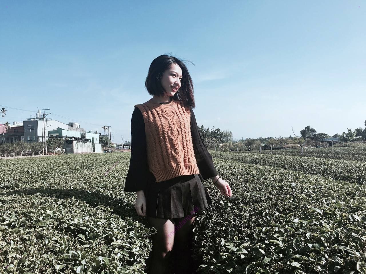 爱奇艺在线观看