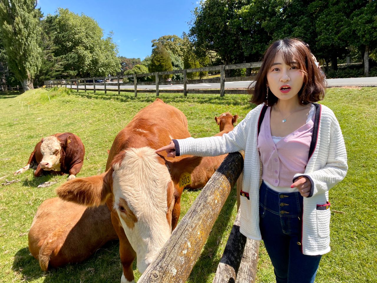 亚洲网在线观看