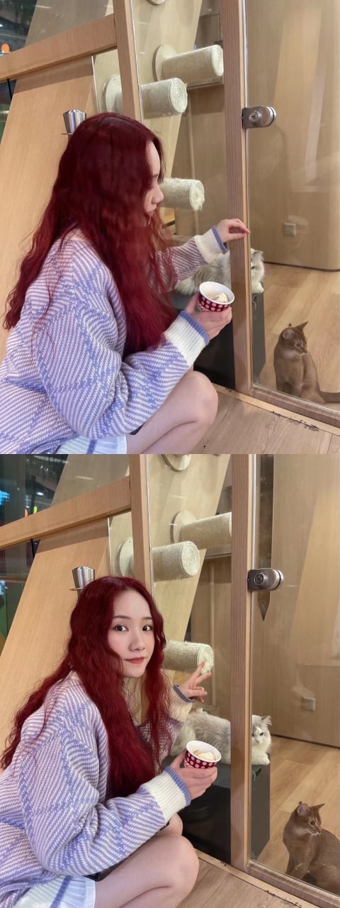 亚洲最大激情中文字幕-高清中文字幕免费观在线 - 小鸡AV久久国产精品一区二区三区