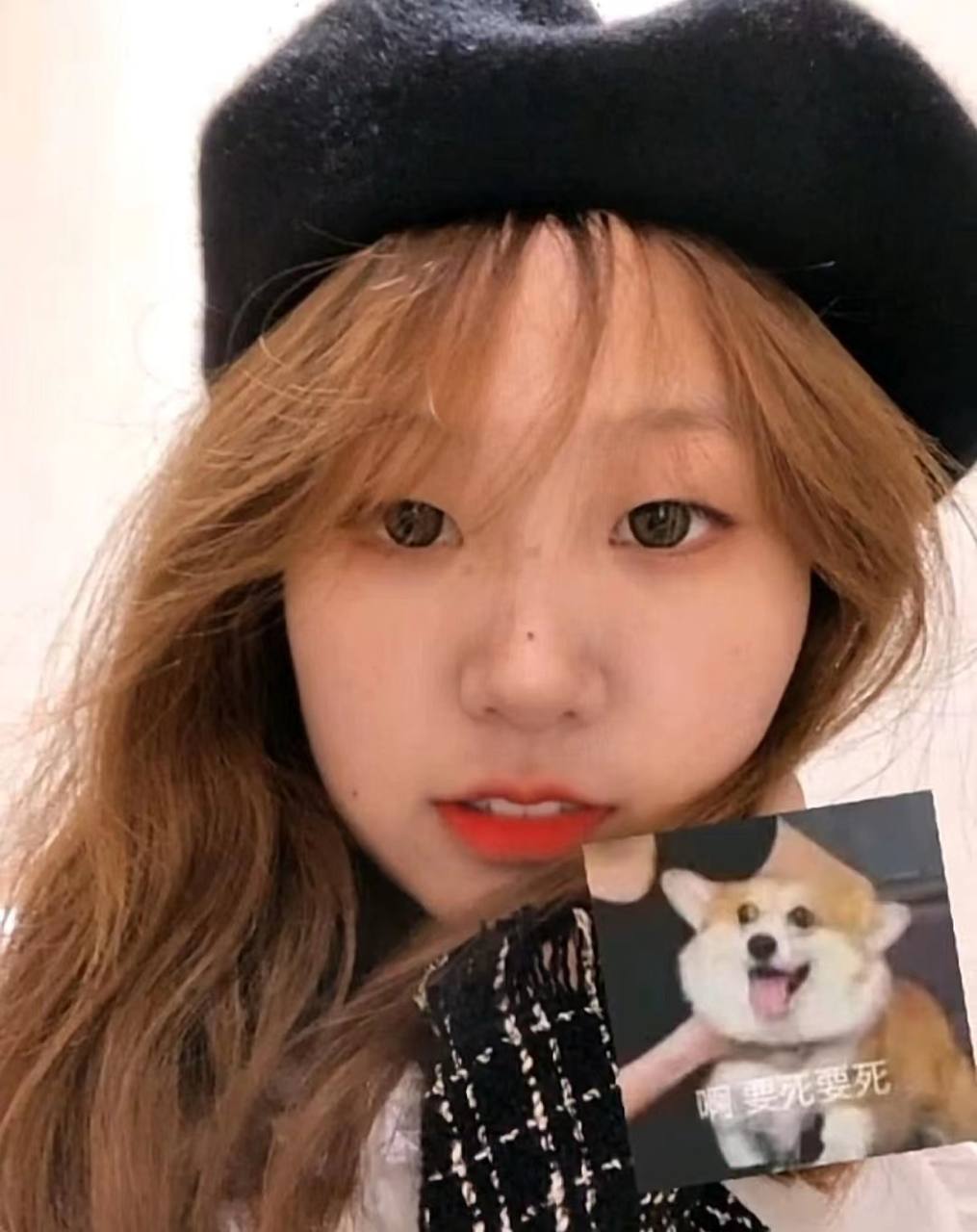 欧美精-免费欧美一级 - 小鸡AV欧美一级看片