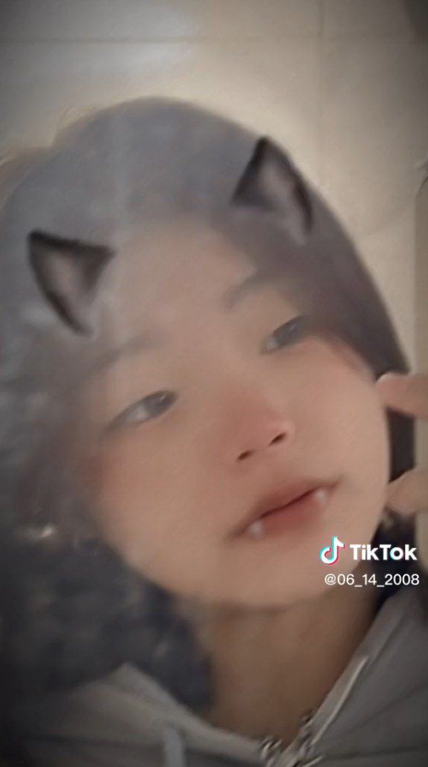 孽欲狐仙-最新黄色免费网站 - 小鸡AV国产成人yy精品1024在线