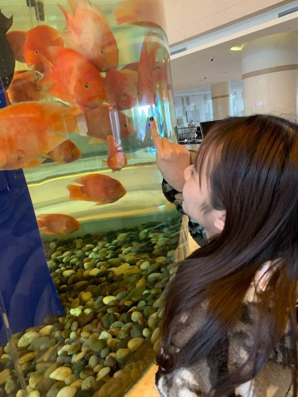 伊人最新网址-在线观看成年人视频网站 - 小鸡AV超级乱淫伦小说txt下载