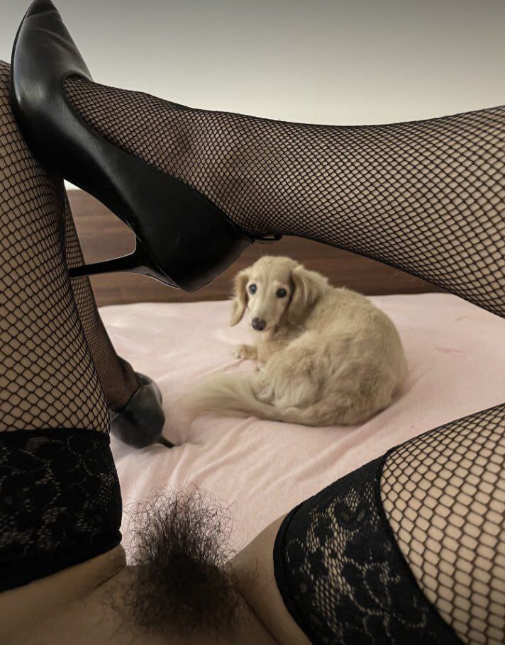 91亚洲精品-天天舔天天舔 - 小鸡AV色五月激情五月